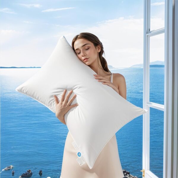 Canadian luxury velvet pillows exclusively for star hotels