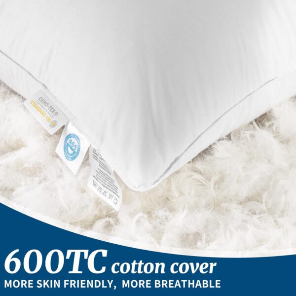 Canadian luxury velvet pillows exclusively for star hotels - 图片 5
