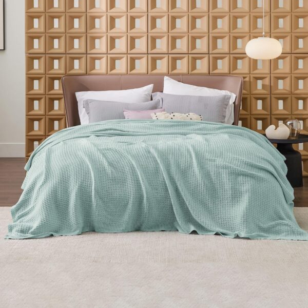 bamboo fiber blanket - 图片 12