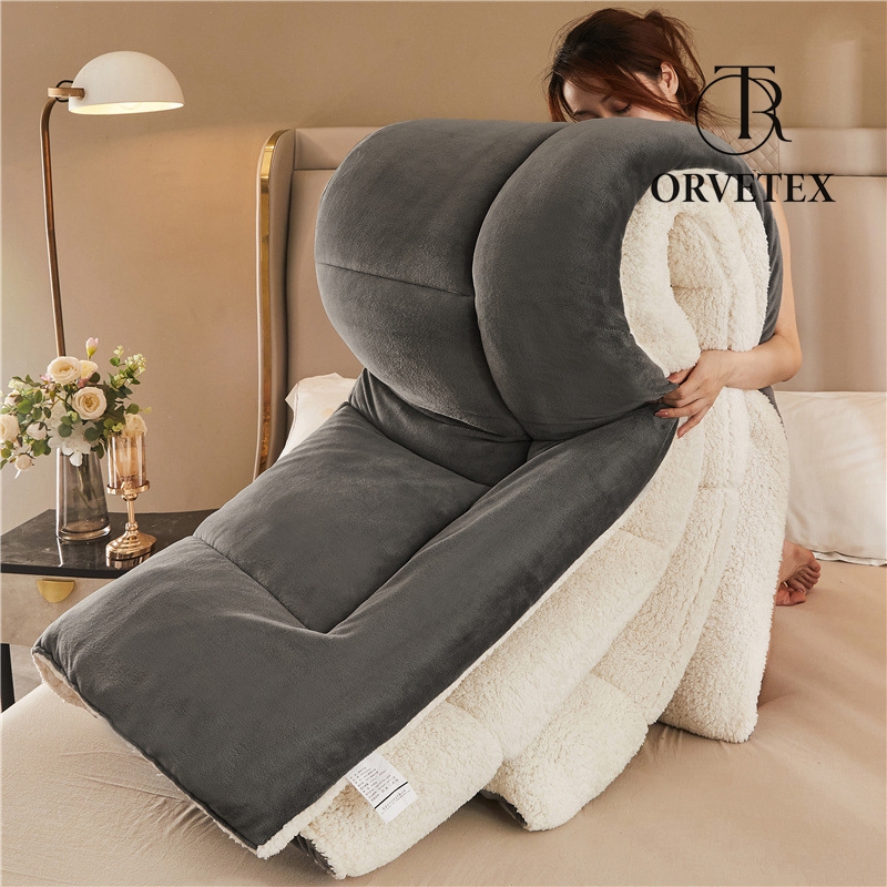Super Warm Lamb Wool Queen Size Quilt Winter Blanket Double-Sided Velvet Quilt Thickened Warm Plush Comforter Core, Plain Blanket Winter Duvet Quilt,A,220x240cm/5kg - 图片 3