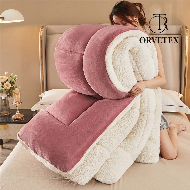 Super Warm Lamb Wool Queen Size Quilt Winter Blanket Double-Sided Velvet Quilt Thickened Warm Plush Comforter Core, Plain Blanket Winter Duvet Quilt,A,220x240cm/5kg - 图片 4