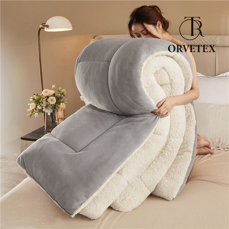 Super Warm Lamb Wool Queen Size Quilt Winter Blanket Double-Sided Velvet Quilt Thickened Warm Plush Comforter Core, Plain Blanket Winter Duvet Quilt,A,220x240cm/5kg - 图片 5