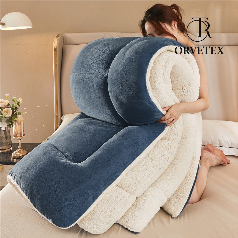 Super Warm Lamb Wool Queen Size Quilt Winter Blanket Double-Sided Velvet Quilt Thickened Warm Plush Comforter Core, Plain Blanket Winter Duvet Quilt,A,220x240cm/5kg - 图片 6