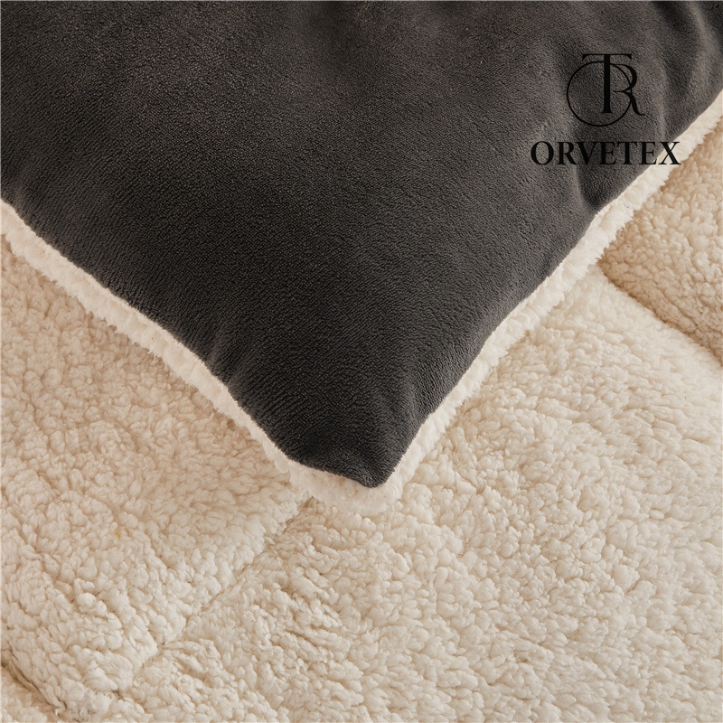 Super Warm Lamb Wool Queen Size Quilt Winter Blanket Double-Sided Velvet Quilt Thickened Warm Plush Comforter Core, Plain Blanket Winter Duvet Quilt,A,220x240cm/5kg - 图片 8