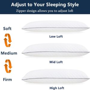 0407-bz-17 Pillow (1)