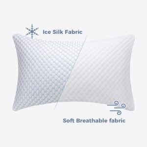 0407-bz-13 pillow (1)
