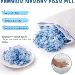 0407-bz-16 pillow (2)